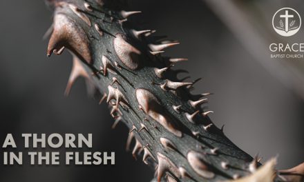 A Thorn in the Flesh