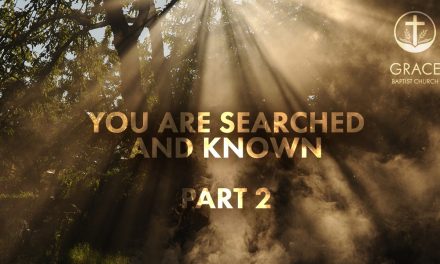 You Are Searched and Known – Part 2