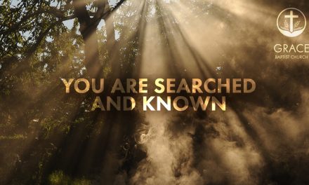 You Are Searched and Known