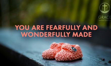 You are Fearfully and Wonderfully Made – Part 2