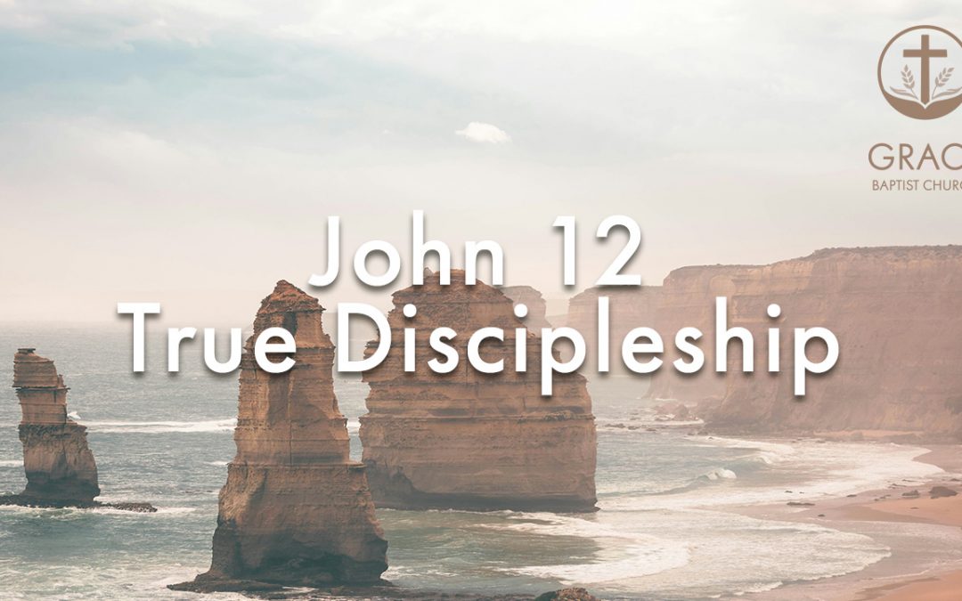 John 12 – True Discipleship