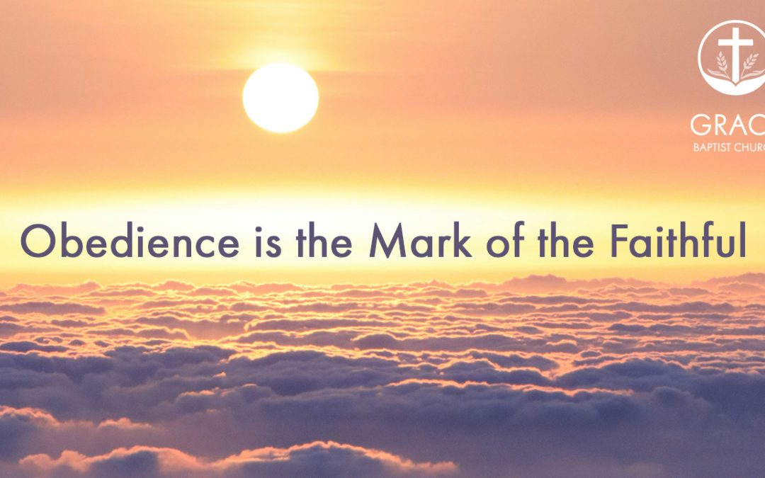 Obedience is the Mark of the Faithful