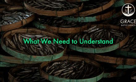 What We Need to Understand