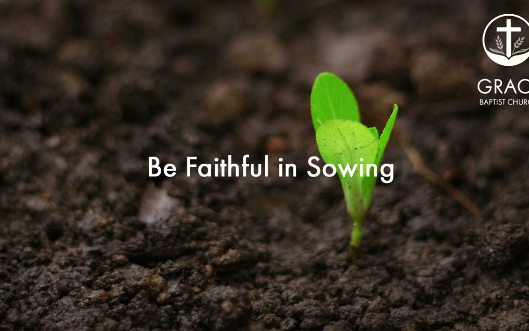 Be Faithful in Sowing
