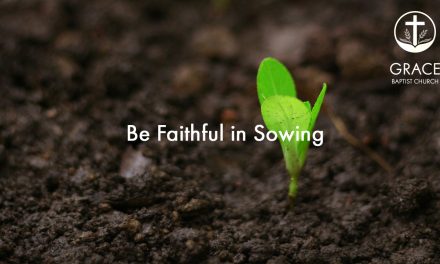 Be Faithful in Sowing