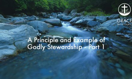 A Principle and Example of Godly Stewardship – Part 1